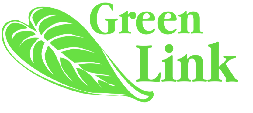 greenlink.su